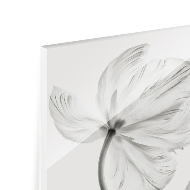 Spritzschutz Glas - Zwei zarte weiße Tulpen - Quadrat 1:1