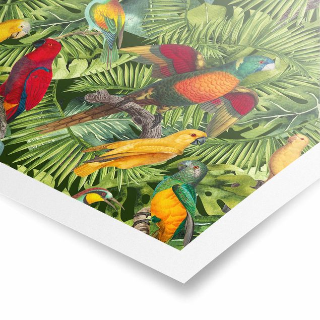 Poster kaufen Bunte Collage - Papageien im Dschungel