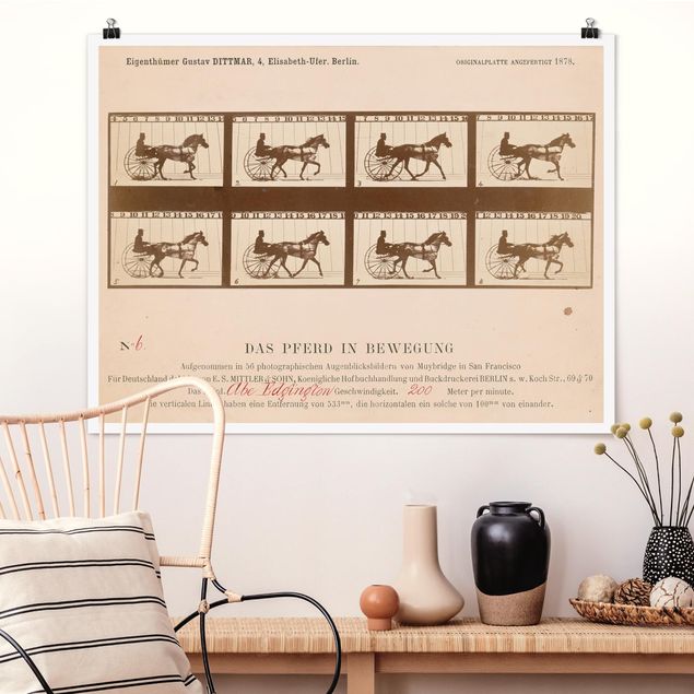 Wand Poster XXL Eadweard Muybridge - Das Pferd in Bewegung