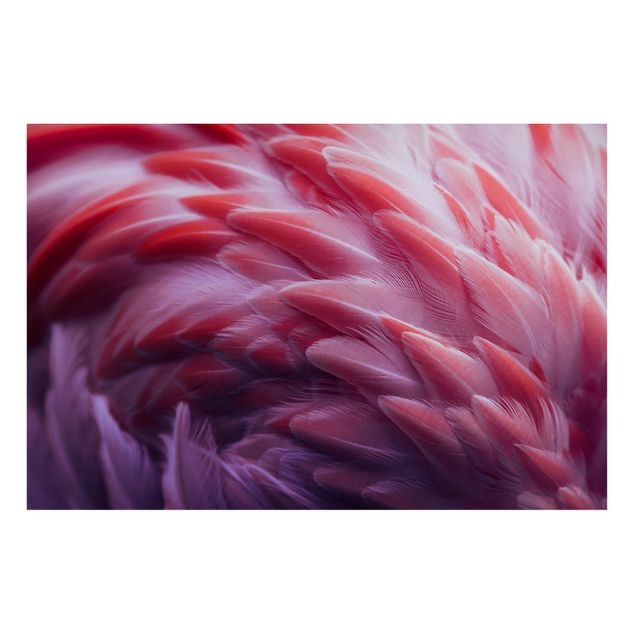 Magnettafel - Flamingofedern Close-up - Hochformat 3:2