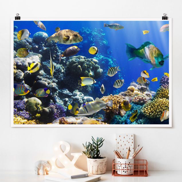 Poster Fische Underwater Reef