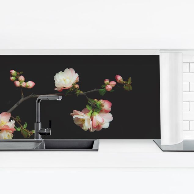 Küchenrückwand - Blütenzweig Apfelbaum