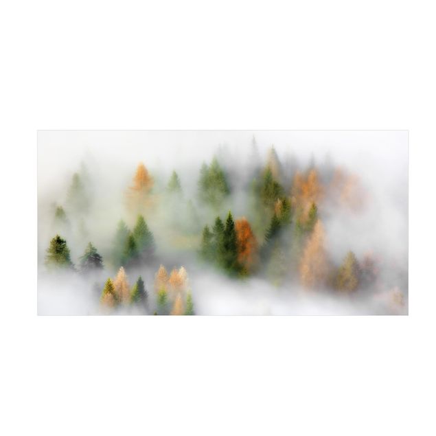 Wald Teppich Nebelwald im Herbst