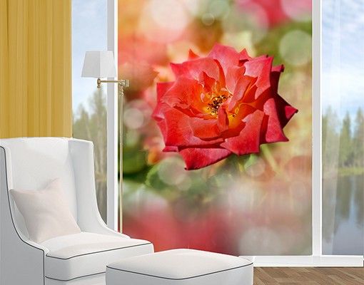 Blumen Fensterbild Shining Rose