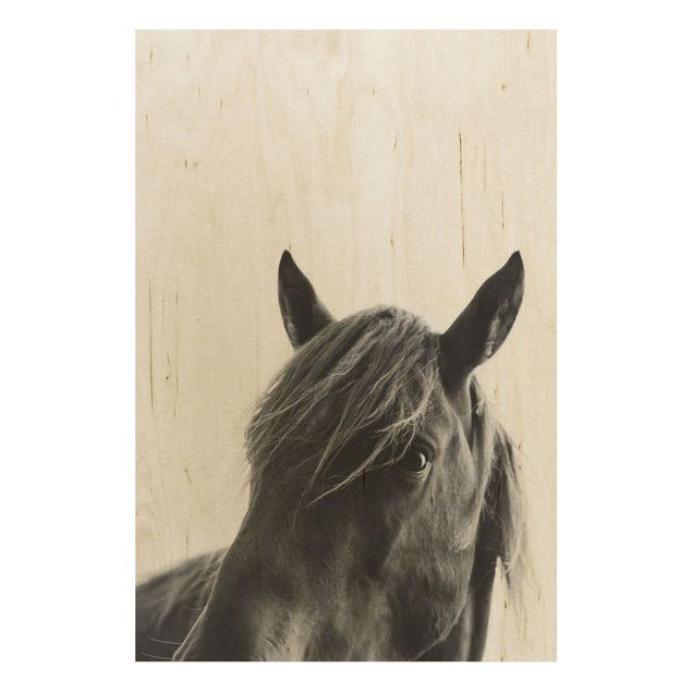 Wandbild Holz Neugieriges Pferd