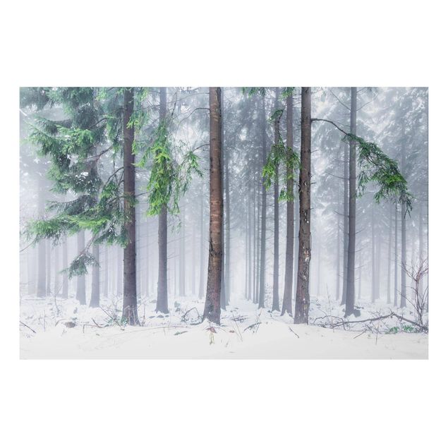 Alu-Dibond - Nadelbäume im Winter - Hochformat