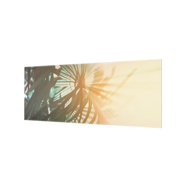 Spritzschutz Glas - Tropische Pflanzen Palmen bei Sonnenuntergang - Panorama - 5:2