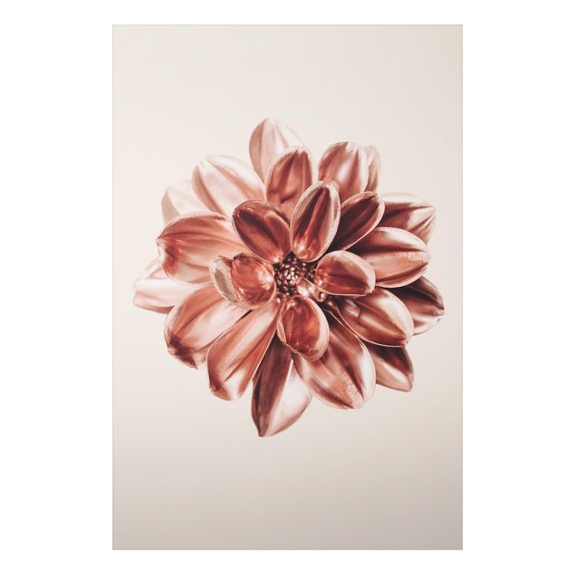 Alu-Dibond - Dahlie Rosegold Metallic Rosa - Querformat