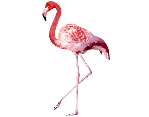 bunte Fensterfolie Pink Flamingo
