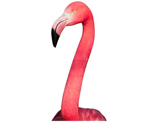 Klebefolie Fenster Neugieriger Flamingo