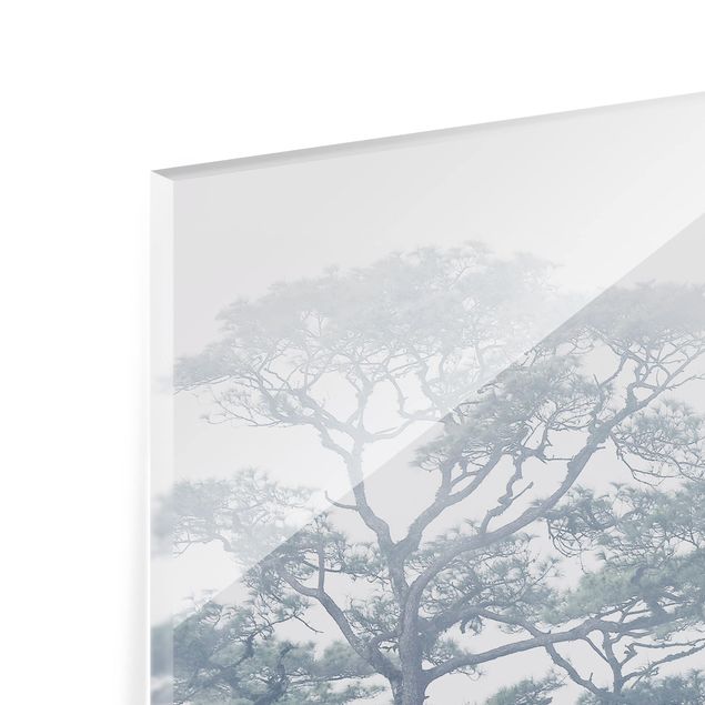 Glas Spritzschutz - Baumkronen im Nebel - Quadrat - 1:1