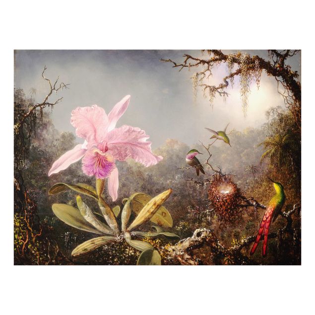 Spritzschutz Tiere Martin Johnson Heade - Orchidee und drei Kolibris