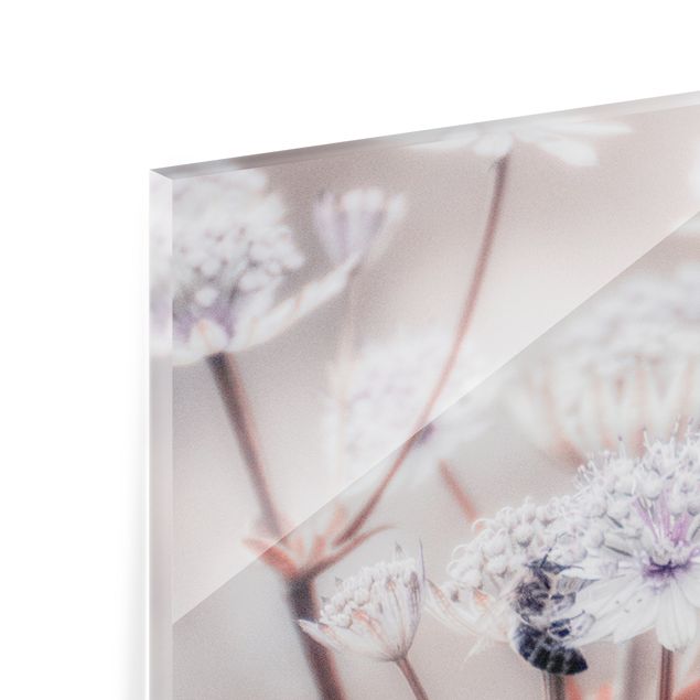 Spritzschutz Glas - Federleichte Wildblumen - Panorama 5:2