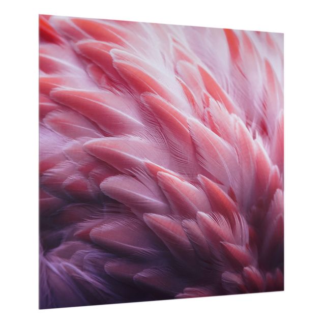 Spritzschutz Flamingofedern Close-up