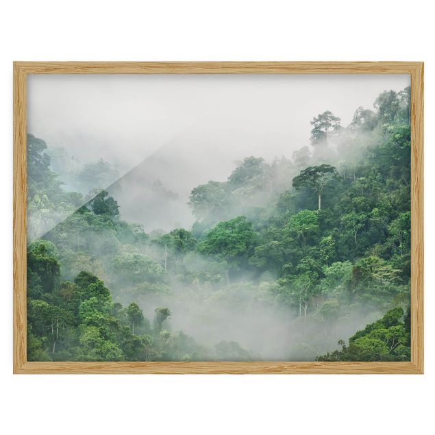 gerahmte Bilder Dschungel im Nebel