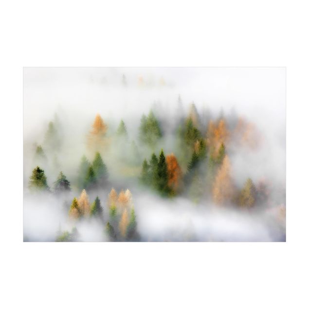 Teppich grau Nebelwald im Herbst