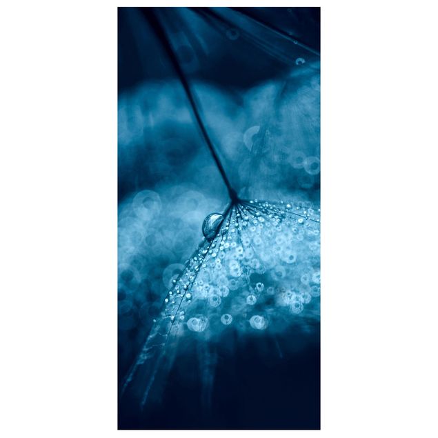 Raumteiler - Blaue Pusteblume im Regen - 250x120cm
