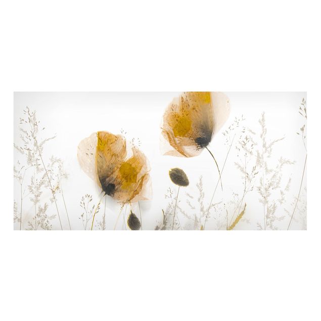 Magnettafel - Mohnblumen und zarte Gräser im weichen Nebel - Panorama Querformat