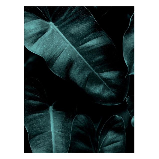 Magnettafel - Dschungel Blätter Dunkelgrün - Hochformat 3:4