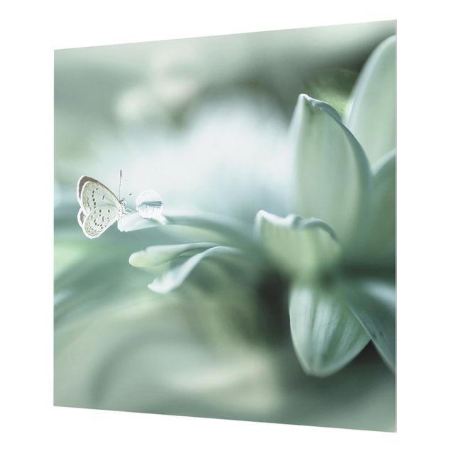 Glas Spritzschutz - Schmetterling und Tautropfen in Pastellgrün - Quadrat - 1:1