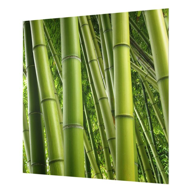 Glas Spritzschutz - Bamboo Trees - Quadrat - 1:1