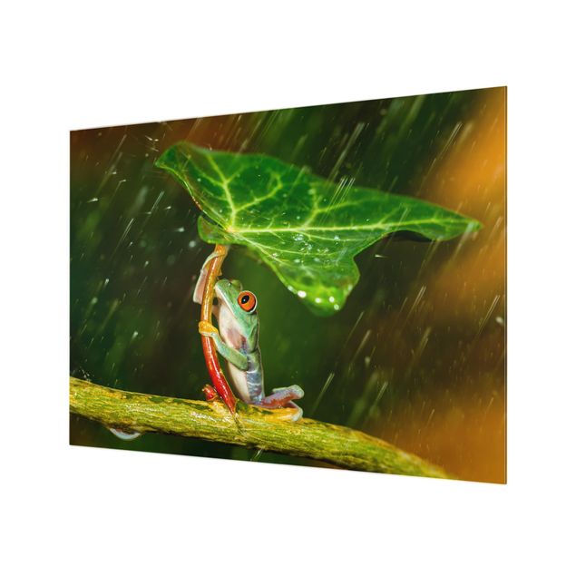 Glas Spritzschutz - Ein Frosch im Regen - Querformat - 4:3