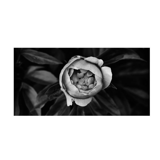 teppich mit blumenmuster Pfingstrosenblüte vor Blättern Schwarz Weiß