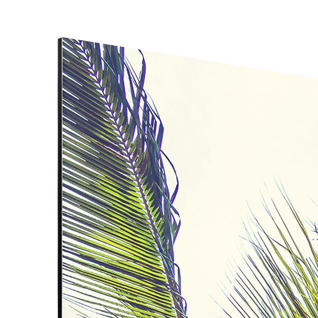 Alu-Dibond - Die Palmen - Hochformat