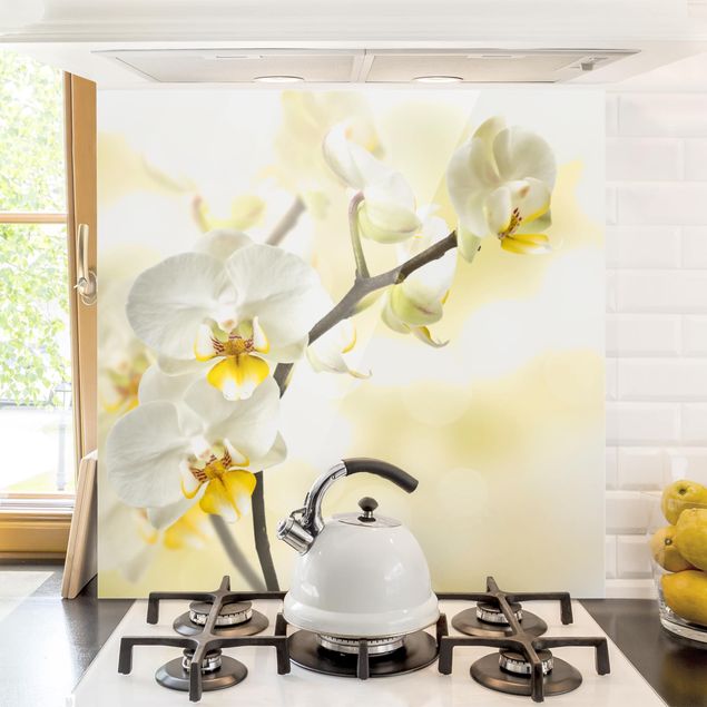 Glasrückwand Küche Blumen Orchideen Zweig