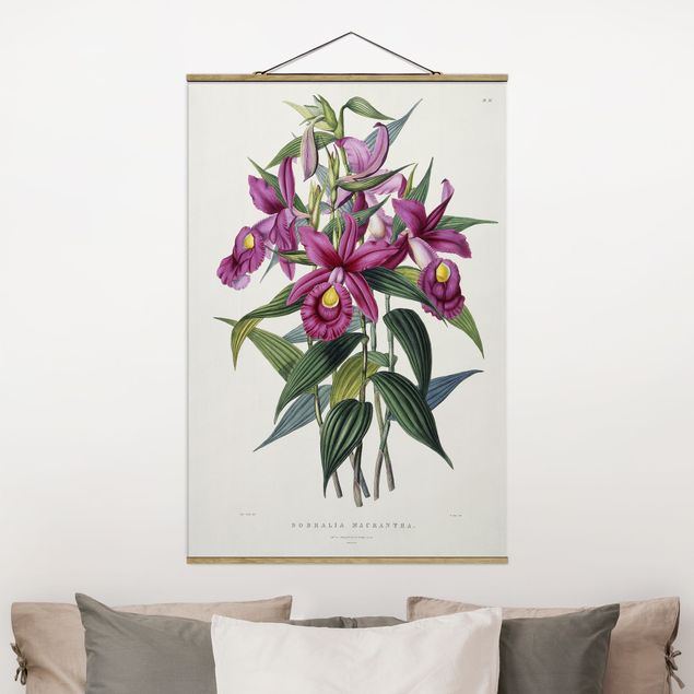 Wandbilder Maxim Gauci - Orchidee I