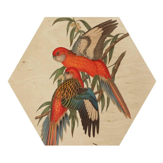 Hexagon Bild Holz - Tropische Papageien I