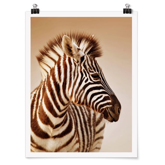 Poster - Zebra Baby Portrait - Hochformat 3:4