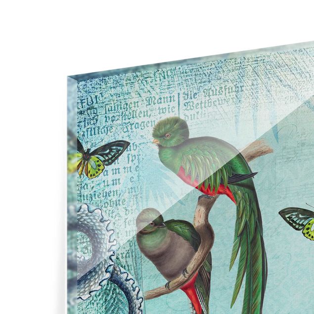 Glas Spritzschutz - Colonial Style Collage - Äffchen und Paradiesvögel - Quadrat - 1:1