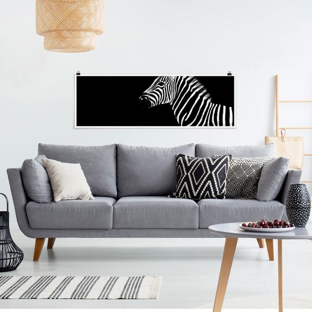 Poster schwarz-weiß Fotografie Zebra Safari Art