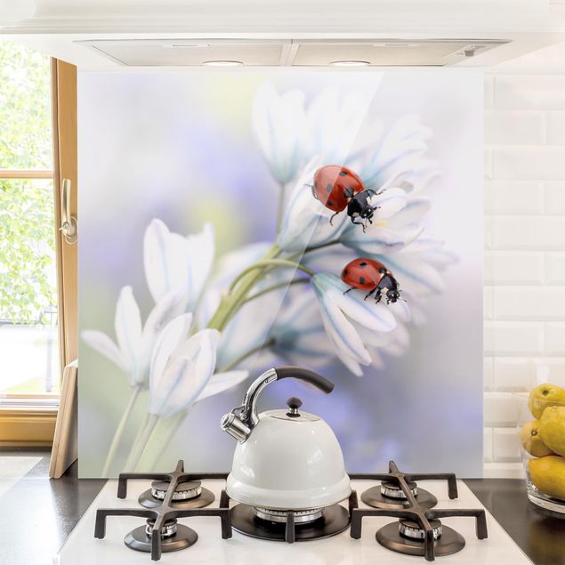Glasrückwand Küche Blumen Schmetterling und Marienkäfer auf Blüten
