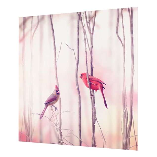 Glas Spritzschutz - Vögel auf Zweigen - Quadrat - 1:1