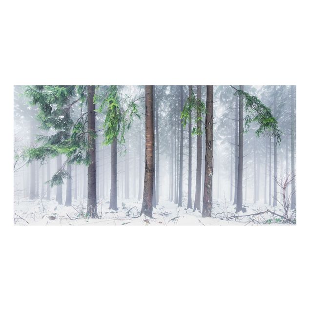 Spritzschutz Künstler Nadelbäume im Winter