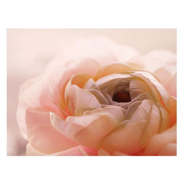 Magnettafel - Rosa Blüte im Fokus - Querfromat 4:3