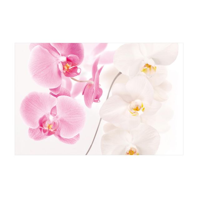 Teppich rosa Delicate Orchids