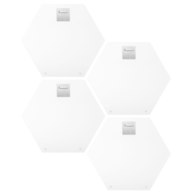 Hexagon Bild Forex 4-teilig - Laubbaum Schautafel Set I
