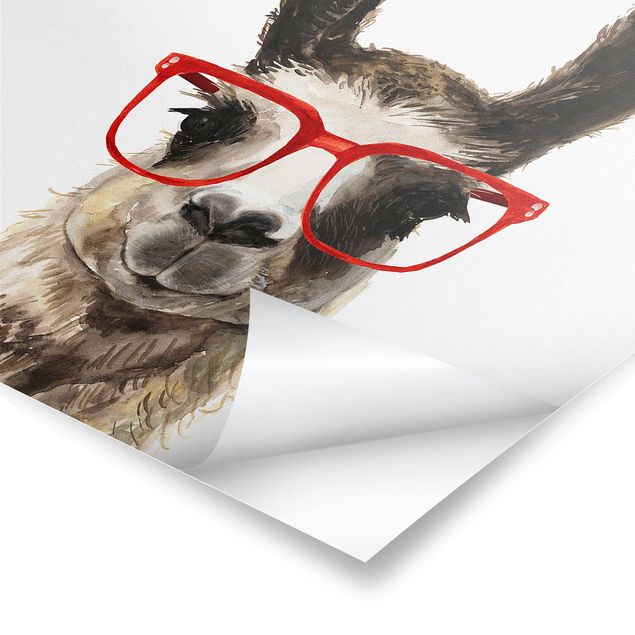 Poster - Hippes Lama mit Brille II - Quadrat 1:1