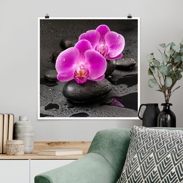 Riesenposter XXL Pinke Orchideenblüten auf Steinen mit Tropfen