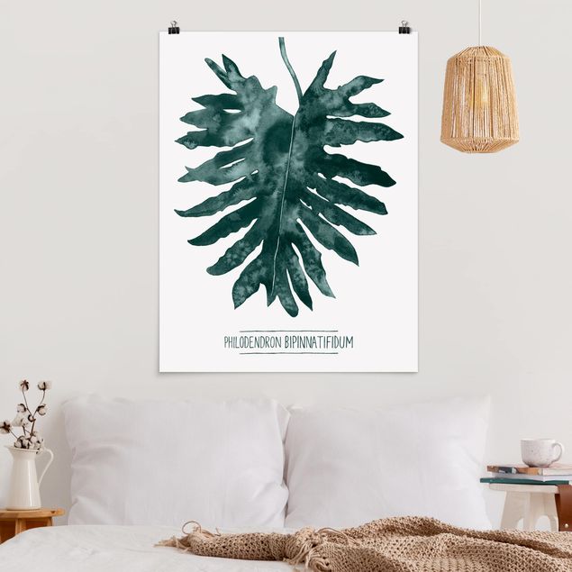 Wand Poster XXL Smaragdgrüner Philodendron Bipinnatifidum