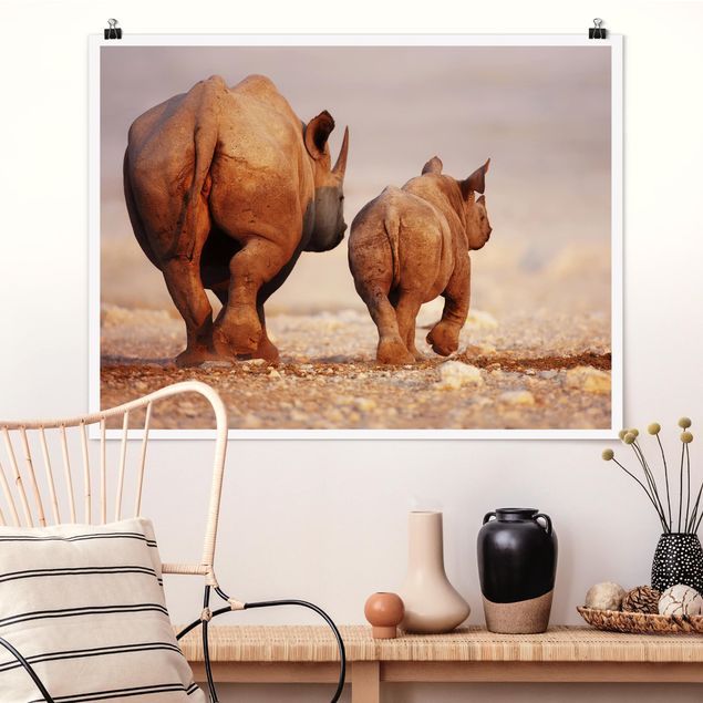 XXL Poster Wandering Rhinos