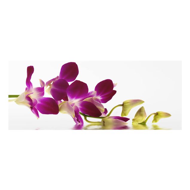 Spritzschutz Glas - Pink Orchid Waters - Panorama - 5:2