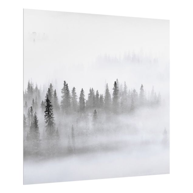 Spritzschutz Natur Nebel im Tannenwald Schwarz-Weiß