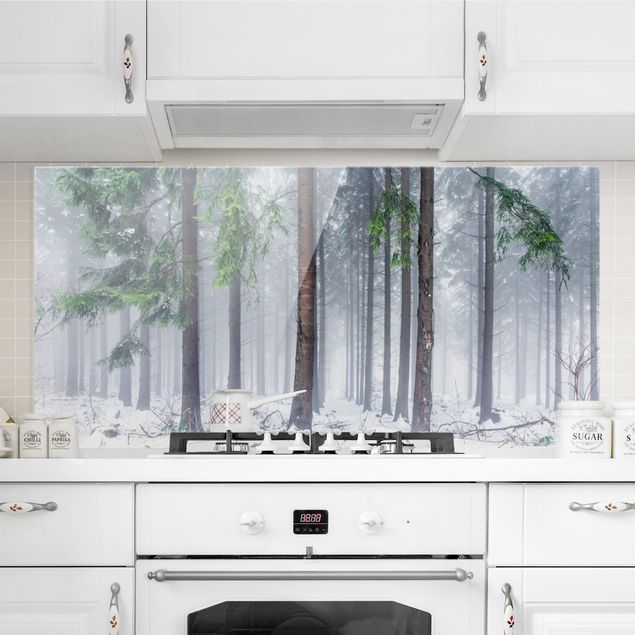 Glasrückwand Küche Wald Nadelbäume im Winter