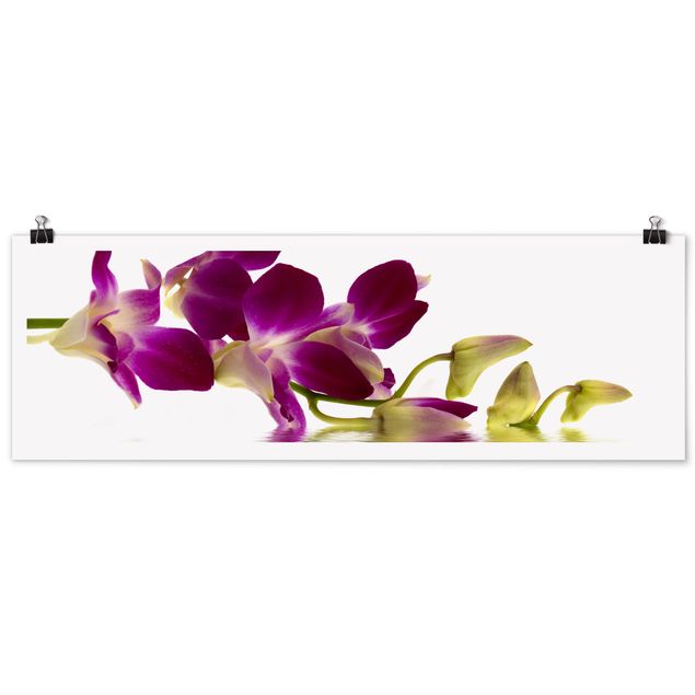 schöne Bilder Pink Orchid Waters