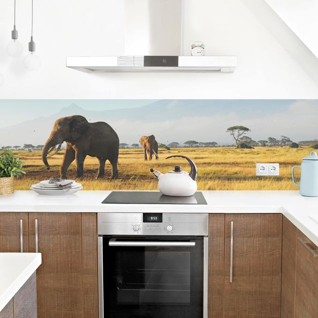 Küchenrückwand - Elefanten vor dem Kilimanjaro in Kenya