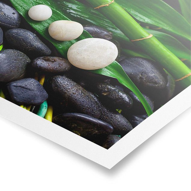 Poster Grüner Bambus mit Zen Steinen